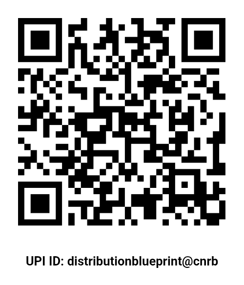 UPI QR Code
